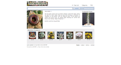 Desktop Screenshot of exotic-cactus-collection.ecrater.co.uk