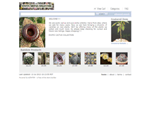 Tablet Screenshot of exotic-cactus-collection.ecrater.co.uk